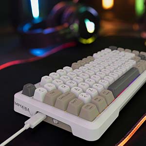 INCA IKG-455 EMPOUSA GASKET HOT SWAP POSH TRİ-MODE MAKRO RGB MEKANIK GAMING KLAVYE-BEYAZ kablosuz ve kablolu kulanma özl